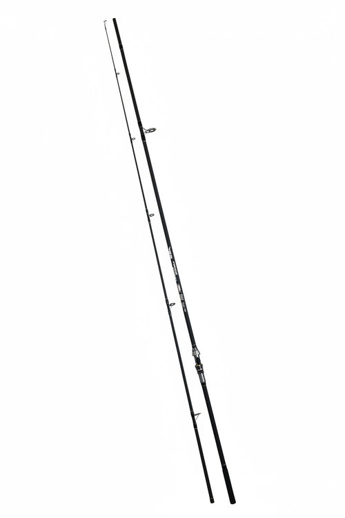 Cool Angel Fishing Expert 3902 (3.90m, 3.5 LBS, 2 tronsoane)